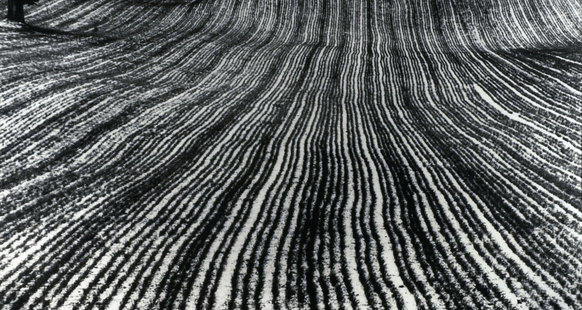 Il bianco e il nero a Palazzo Fagnani Ronzoni a Milano