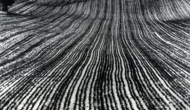 Il bianco e il nero a Palazzo Fagnani Ronzoni a Milano