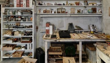 Lo studio di Joseph Cornell ricreato da Wes Anderson