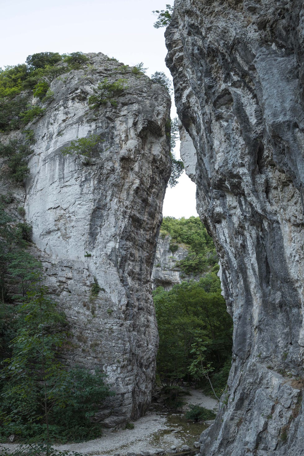 narrow canyon between steep rock formations with greenery