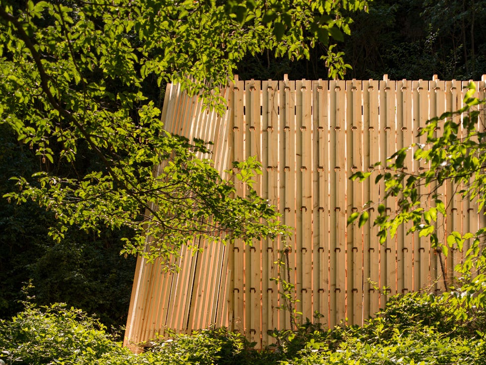 wooden structure partially obscured by greenery