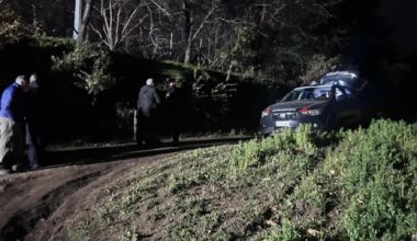 Tre cacciatori trovati morti in un bosco nel Messinese, uccisi a fucilate - palermo.repubblica.it
