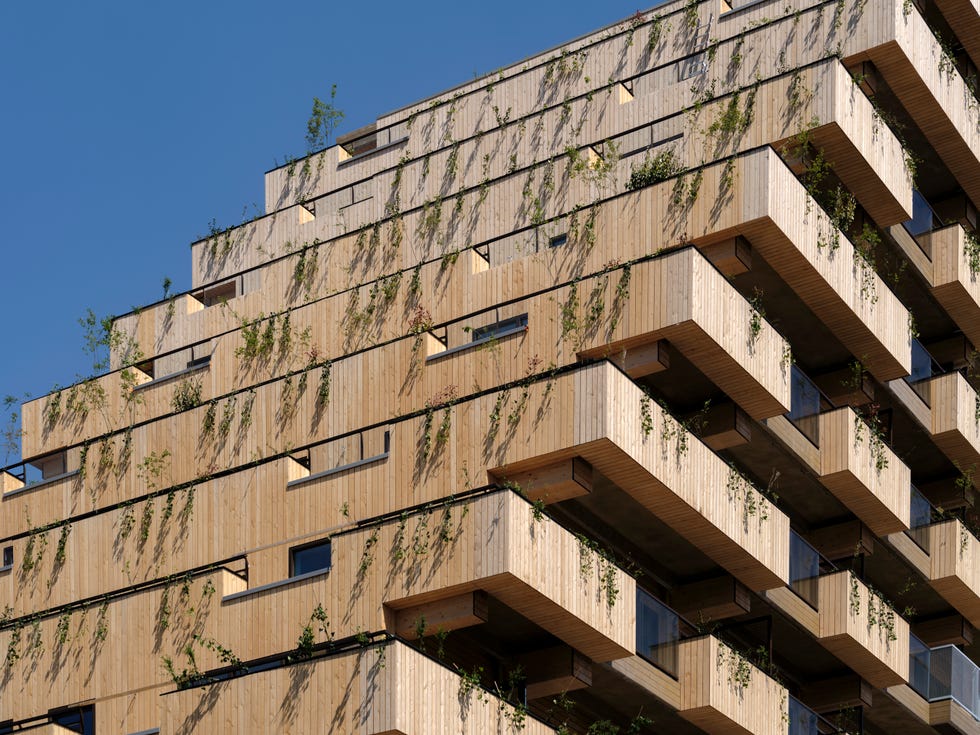 modern building with a wooden façade and greenery