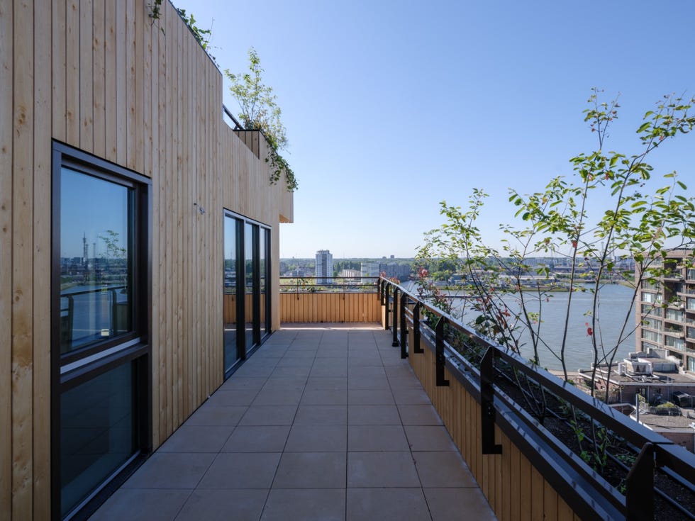 terrace overlooking a river with plants and modern architecture