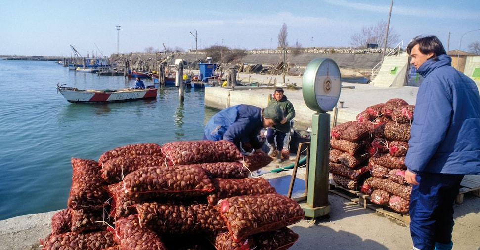 vai alla homepage de Il Sole 24 Ore