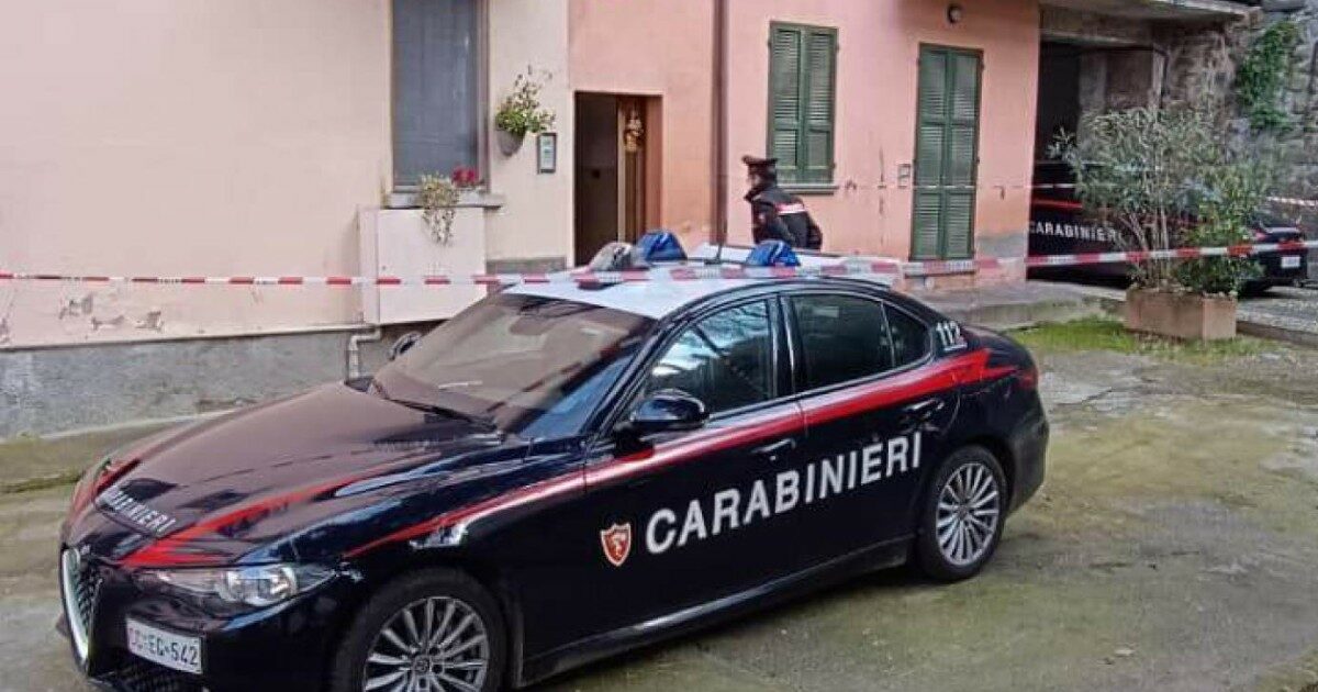 Tentato femminicidio a Capriolo: accoltellata dal marito, 45enne grave | Il Fatto Quotidiano
