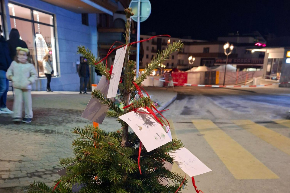 L'albero di Natale che è diventato un memoriale a Crans-Montana