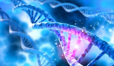 La longevità dipende più dai geni o dallo stile di vita? La ricerca che mette un punto fermo