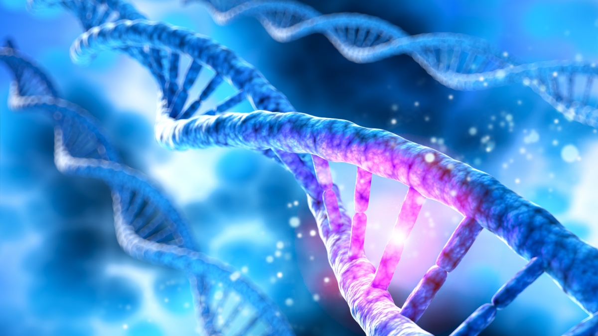 La longevità dipende più dai geni o dallo stile di vita? La ricerca che mette un punto fermo