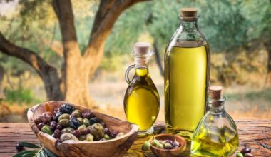 Olio tunisino a dazio zero, Coldiretti: «No al raddoppio delle quote, scelta suicida»