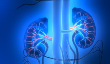 Tumore del rene, numeri in aumento: quasi la metà è dovuta al fumo. La malattia viene spesso scoperta «per caso»