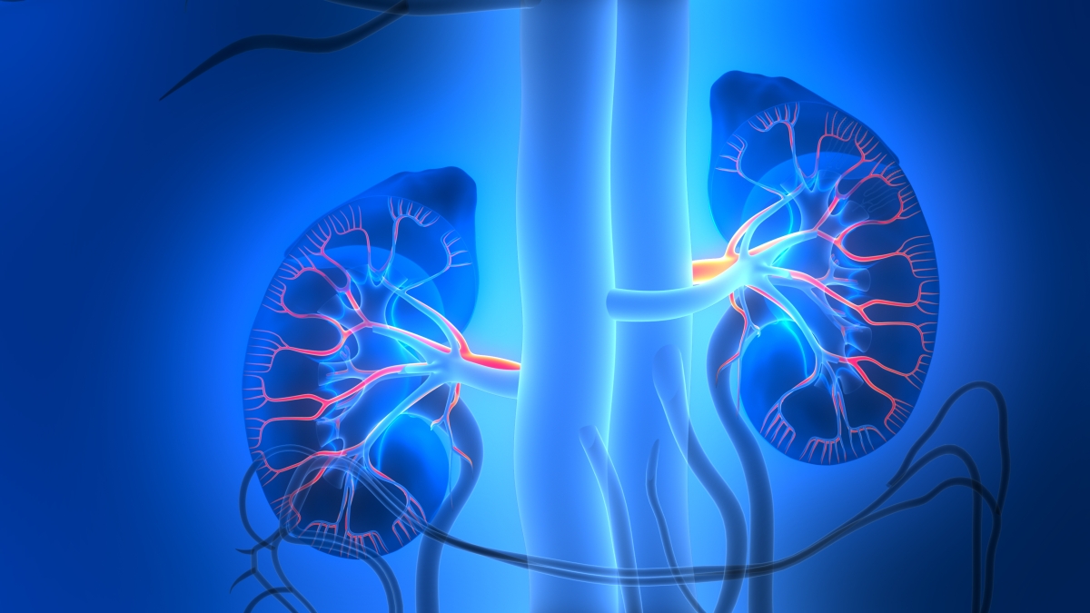 Tumore del rene, numeri in aumento: quasi la metà è dovuta al fumo. La malattia viene spesso scoperta «per caso»