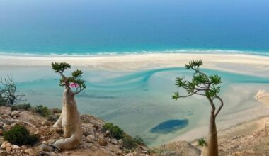 Cancellati tutti i voli di rientro da Socotra: sull'isola rimangono bloccati 650 turisti. Un centinaio sono italiani