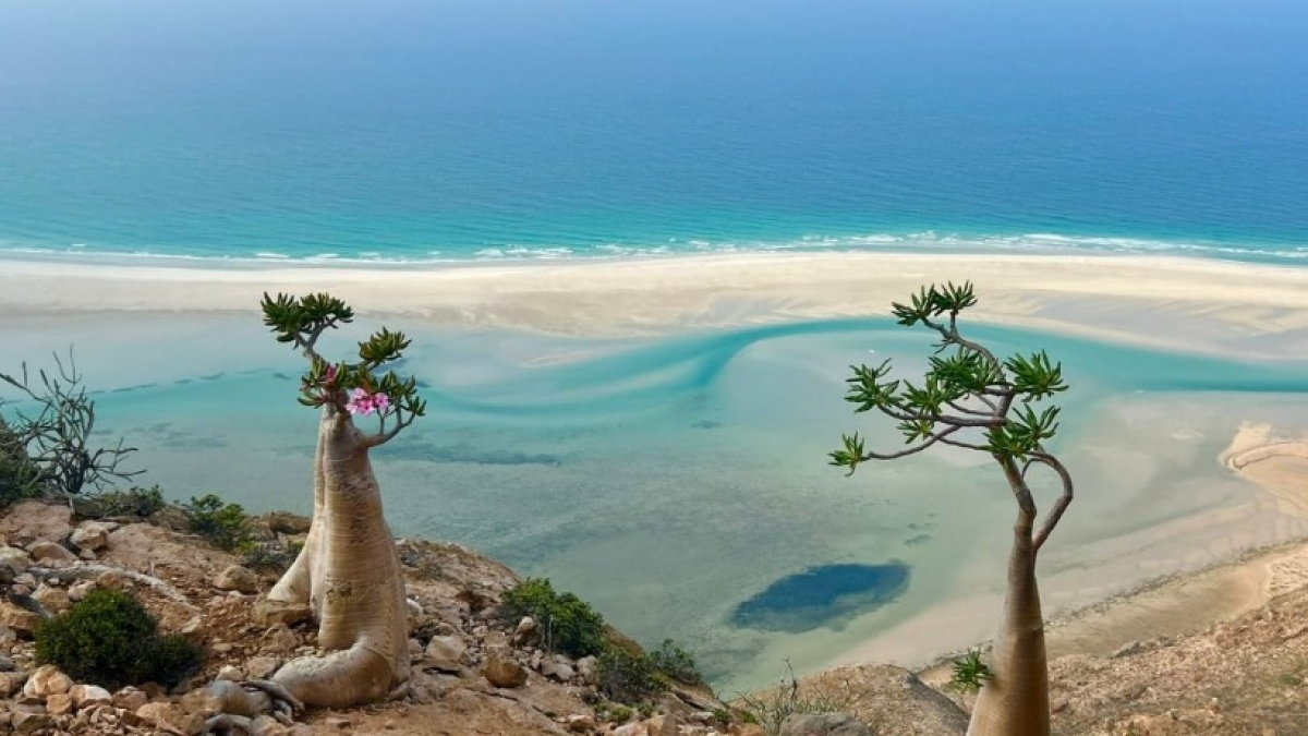 Cancellati tutti i voli di rientro da Socotra: sull'isola rimangono bloccati 650 turisti. Un centinaio sono italiani