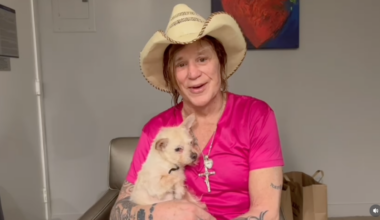 Mickey Rourke: «Non ho creato io la raccolta fondi per evitare lo sfratto. È imbarazzante»