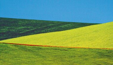 Franco Fontana, a Jesolo una grande mostra dedicata al fotografo: nei suo scatti dominano i colori del paesaggio, dalla Basilicata a Ibiza e New York
