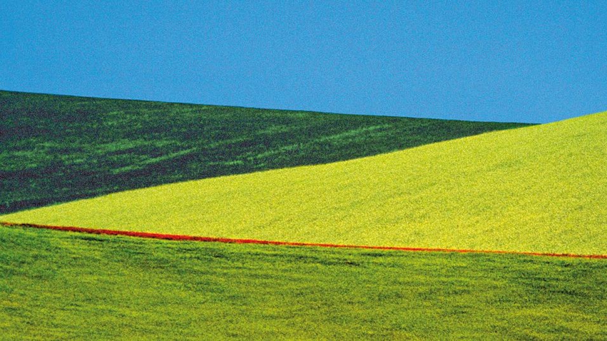 Franco Fontana, a Jesolo una grande mostra dedicata al fotografo: nei suo scatti dominano i colori del paesaggio, dalla Basilicata a Ibiza e New York