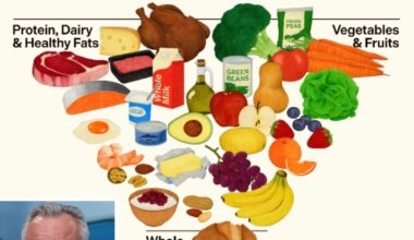 Usa, l'amministrazione Trump capovolge la piramide alimentare: più proteine da carne rossa e latte intero, sull'alcol poca chiarezza
