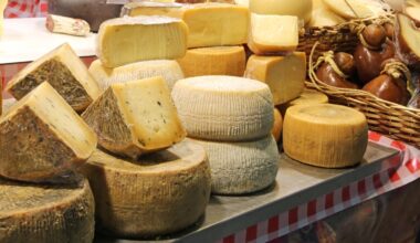 Il miglior formaggio al mondo è greco, al secondo posto l'Italia che piazza altre tre eccellenze nella top ten di TasteAtlas