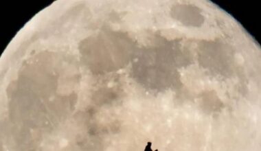 Un orsacchiotto al posto di E.T. e una luna piena perfetta: 40 anni dopo è stata scattata in Galles la scena più celebre del film