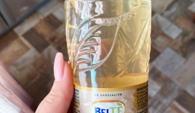 Beltè, il tè freddo torna in mani italiane: Sibat Tomarchio lo compra dagli olandesi di Refresco