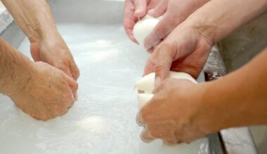 Mozzarella di bufala campana richiamata per micotossine. Il marchio e i lotti ritirati (e a cui prestare attenzione)
