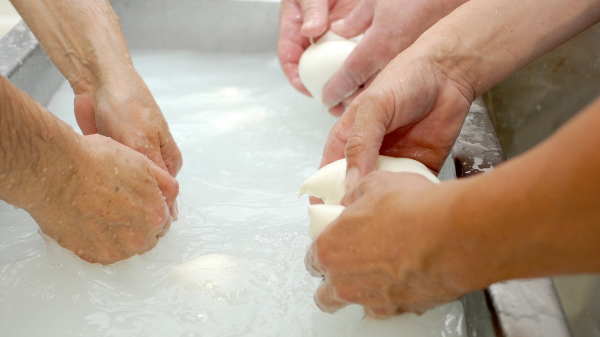 Mozzarella di bufala campana richiamata per micotossine. Il marchio e i lotti ritirati (e a cui prestare attenzione)
