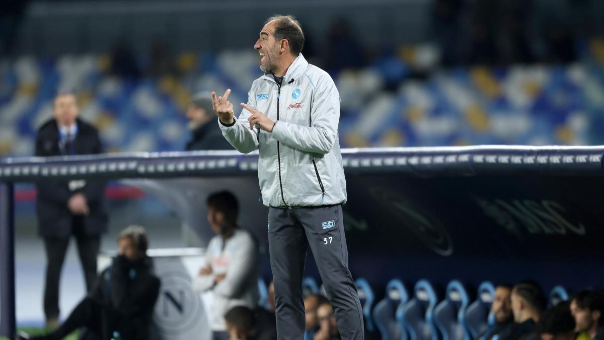 Napoli, Stellini: "Mancate energia e lucidità, ma che sfortuna col Var"