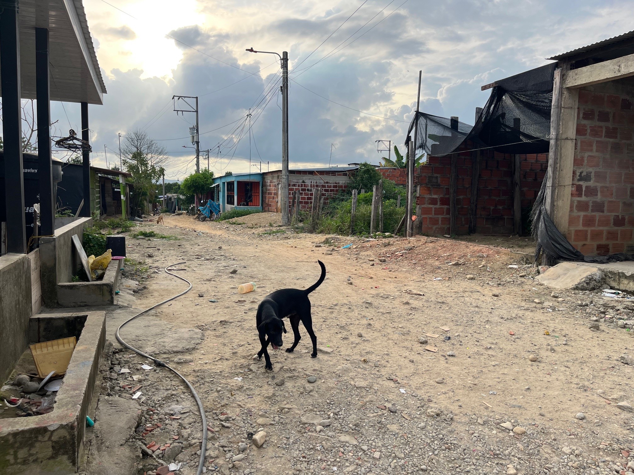 Viaggio nei campi di coca della guerriglia, al confine tra Colombia e Venezuela