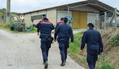 Federica Torzullo scomparsa ad Anguillara, analizzati i furgoni del marito: esami sul cronotachigrafo per scoprire quanti chilometri ha fatto il 9 gennaio