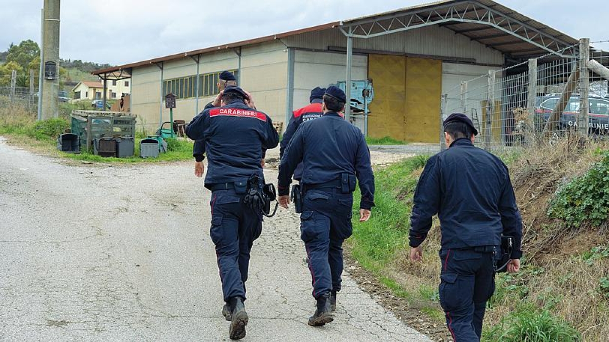 Federica Torzullo scomparsa ad Anguillara, analizzati i furgoni del marito: esami sul cronotachigrafo per scoprire quanti chilometri ha fatto il 9 gennaio