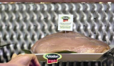 Amadori, lite sull’assetto societario del big alimentare: Patrizia e Loretta vincono in tribunale contro i fratelli (e in ballo ci sono 1,7 miliardi)