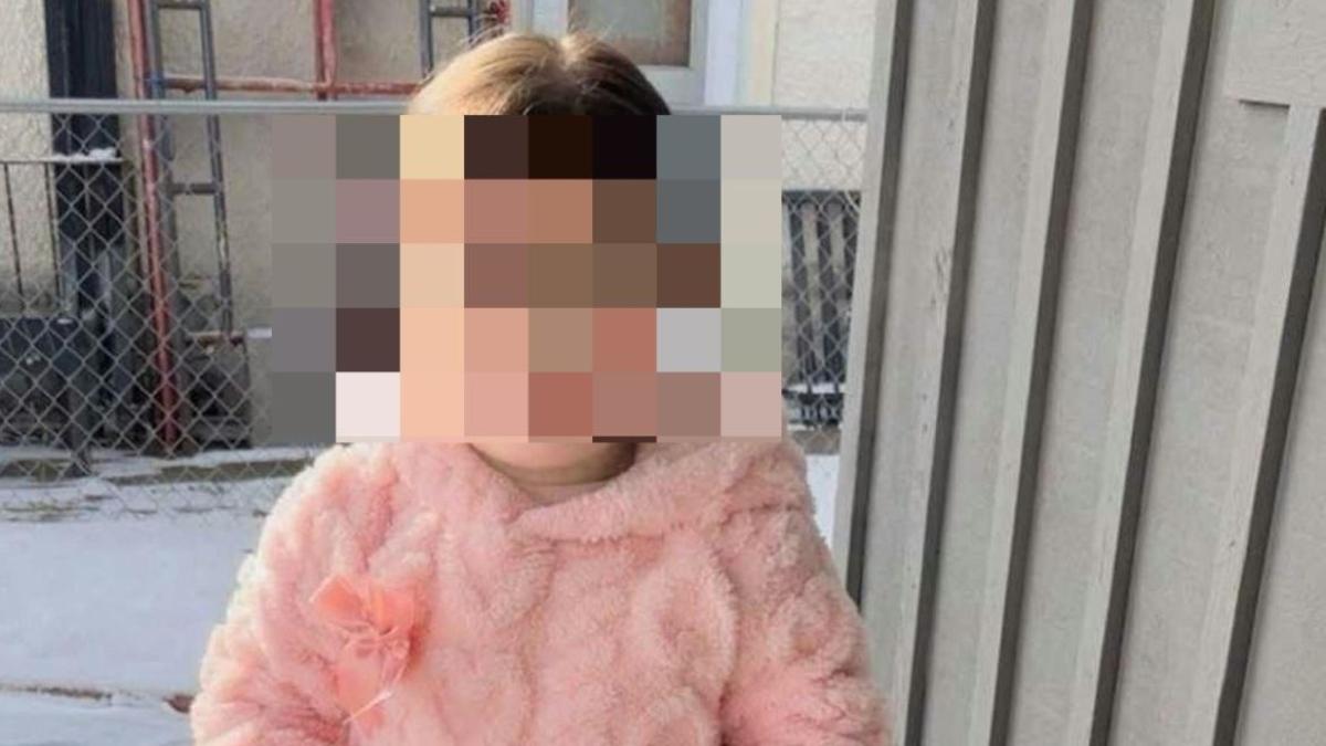 Minneapolis, bimba di due anni fermata dall'Ice assieme al padre e deportata in Texas