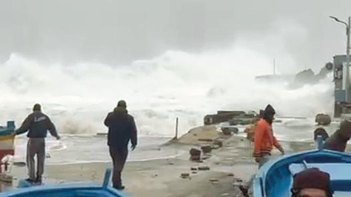 L’appello di Daria Bignardi per l'isola ferita dal ciclone Harry: «Una donazione per Linosa»
