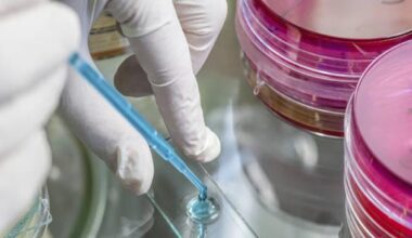 Stitichezza, secondo gli scienziati una vitamina aiuta a risolvere il problema. Ecco in quali cibi è contenuta