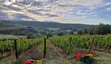 Brunello di Montalcino, la storica tenuta Cerbaia acquistata da una famiglia coreana