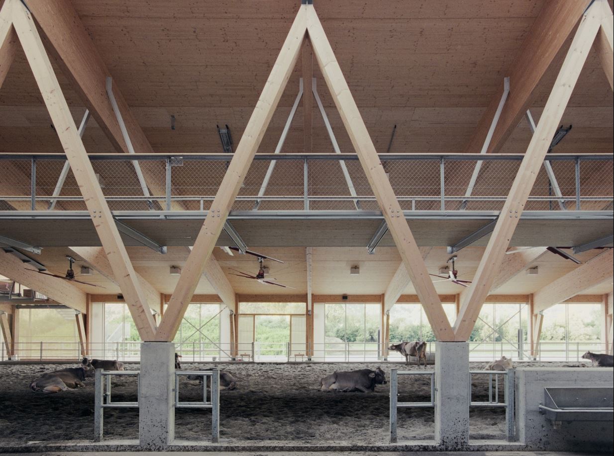 Una stalla, una scuola, un edificio: i progetti italiani che rimettono al centro il legno (sostenibile)