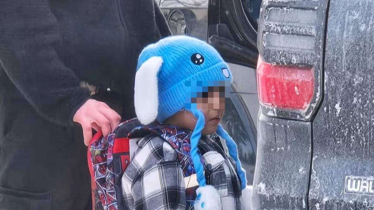 Liam, il bimbo di 5 anni deportato dall'Ice, è libero: «Il giudice ne ha ordinato il rilascio»