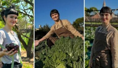la laurea in filosofia, i ristoranti con cucina antispreco e MasterChef