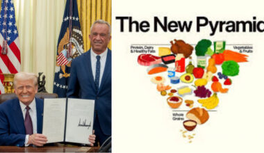 «Più carne rossa e grassi saturi, cereali in fondo». Come cambia e perché