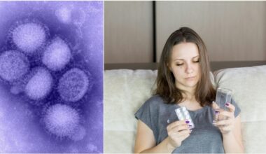 «Ecco quale è meglio usare e quando»