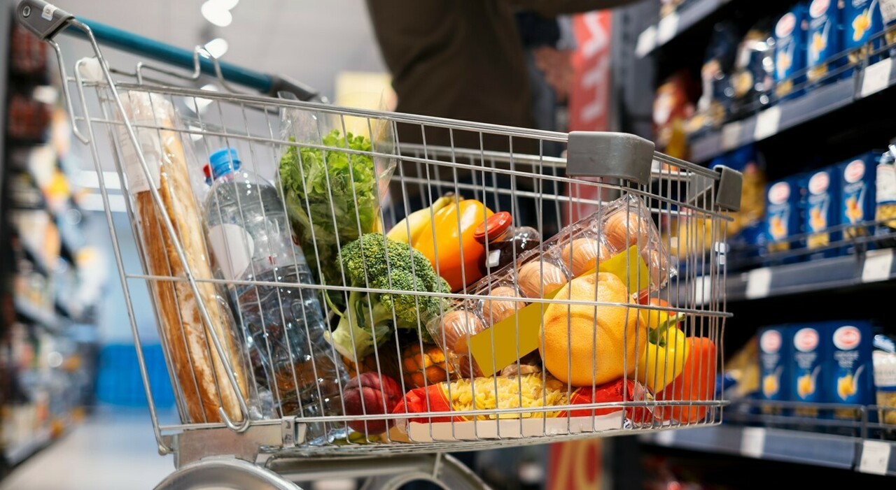 trionfa NaturaSi, sorpresa discount, la spesa online invece non decolla. Top e flop