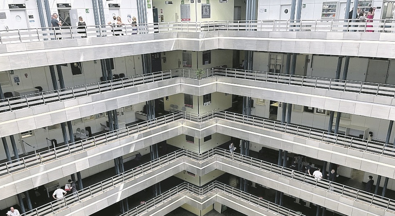 Licenziato per assenza ingiustificata, ma era in ferie: società condannata