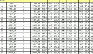 il calendario dei pagamenti, gli importi e tutte le novità del nuovo anno