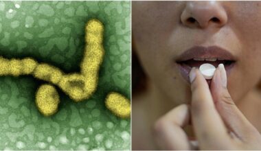 Influenza K, nuovo picco in arrivo. Bassetti: «Ecco il farmaco che riduce la durata dei sintomi, non è il paracetamolo» - Il Messaggero