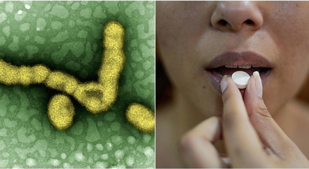 Influenza K, nuovo picco in arrivo. Bassetti: «Ecco il farmaco che riduce la durata dei sintomi, non è il paracetamolo» - Il Messaggero