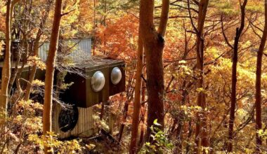 Architectural Digest Italia logo