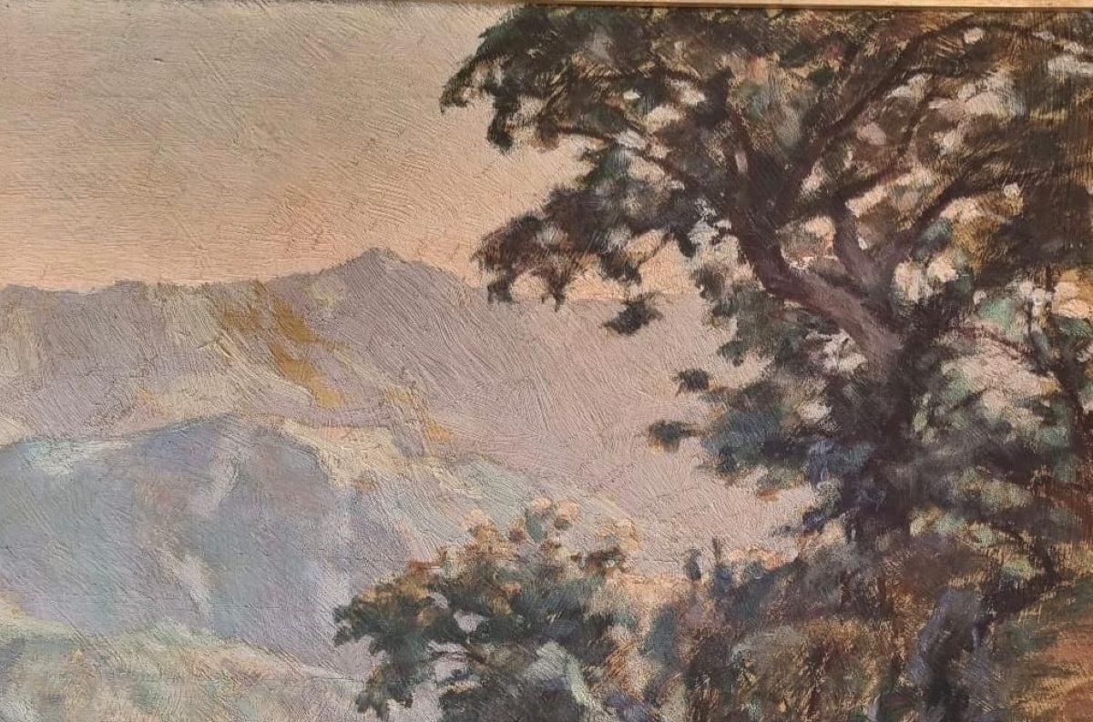 Veduta sopra Seravezza @ Archivio Maurizio Bertellotti