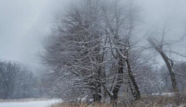 Allerta meteo in Valle d'Aosta per venti forti