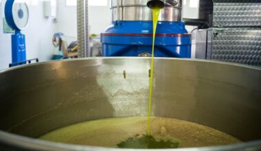 vai alla homepage de Il Sole 24 Ore